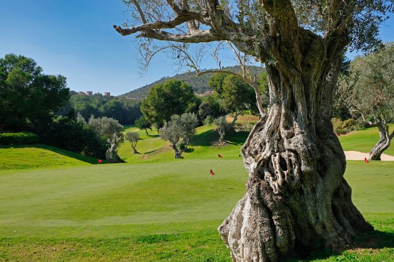 Golf Provence